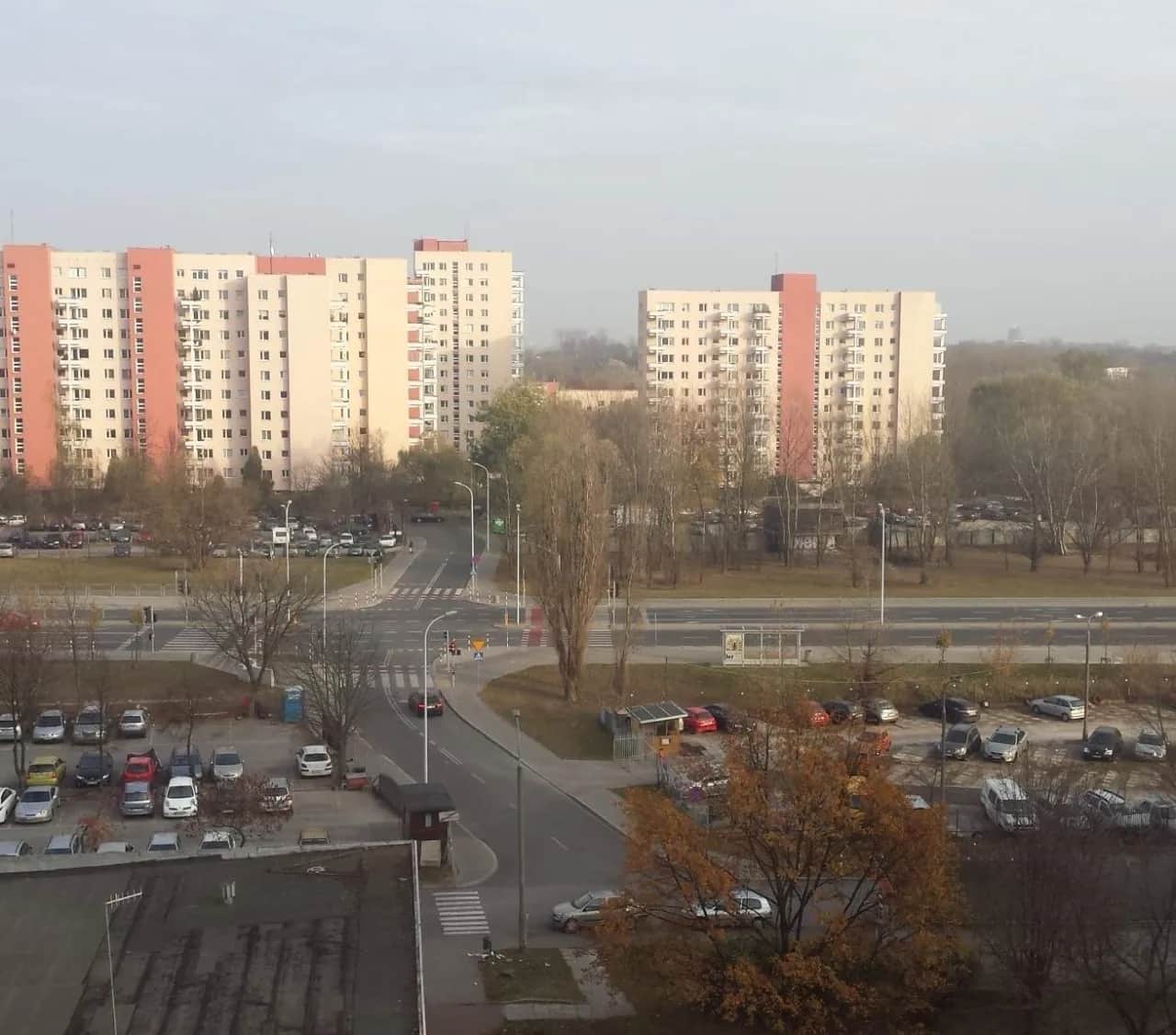 Ustanie członkostwa w spółdzielni: przyczyny, procedury i prawa