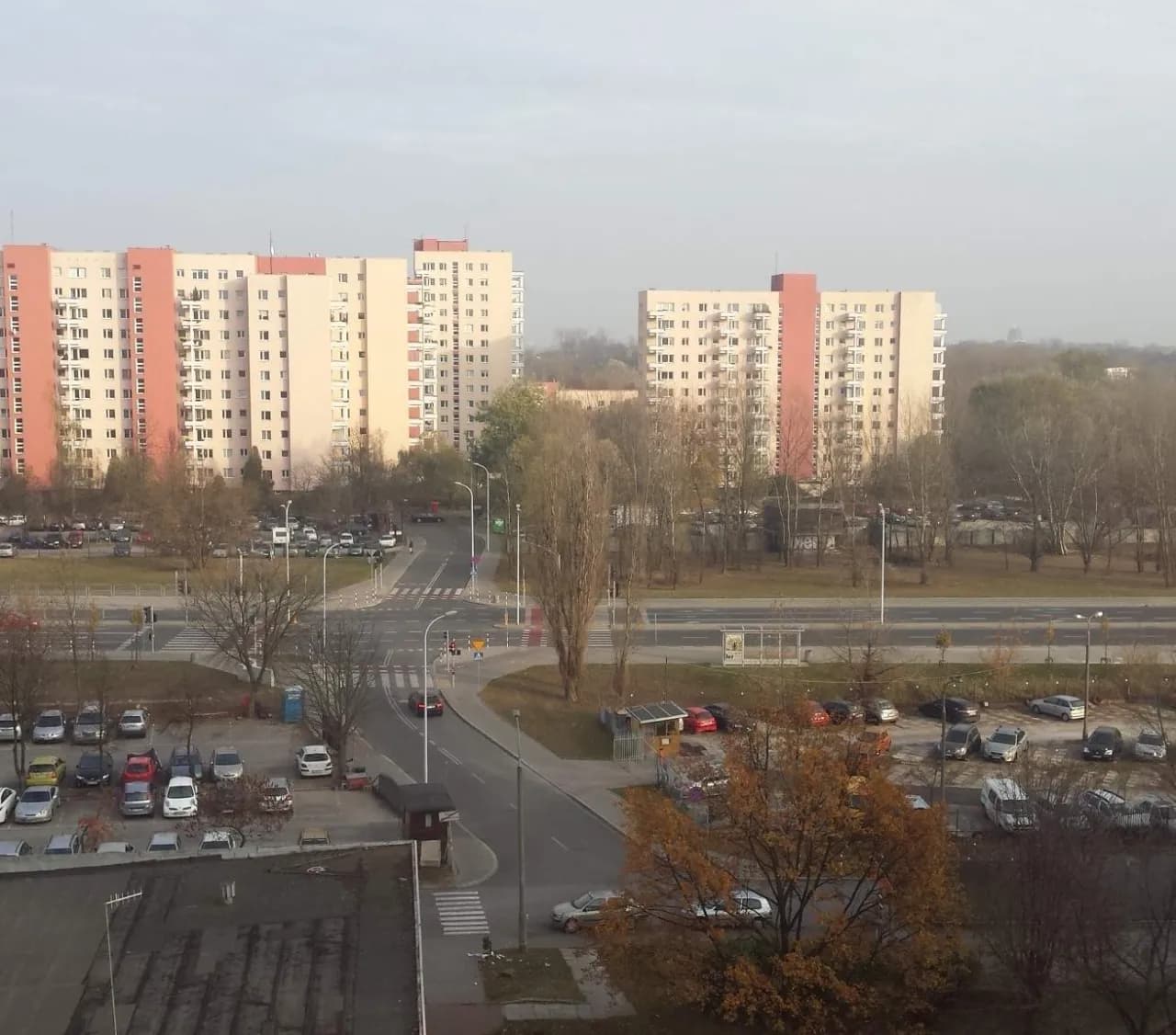 Ustanie członkostwa w spółdzielni: przyczyny, procedury i prawa